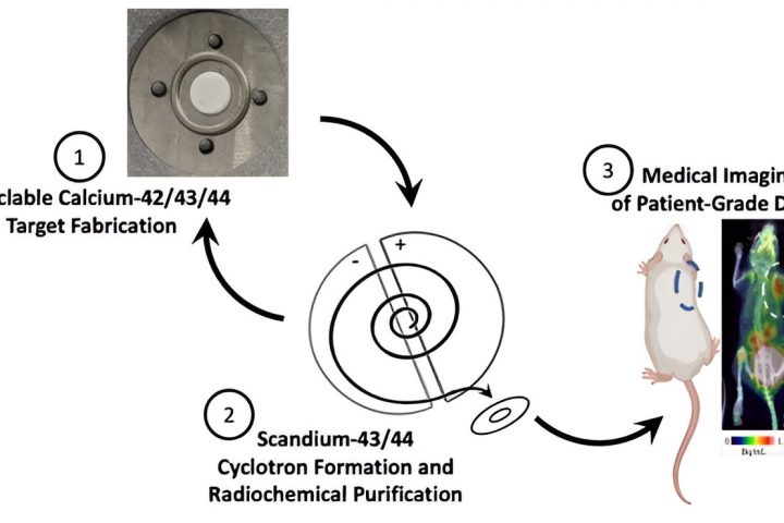 Researchers Enhance Production of Short-Lived Scandium Radioisotopes