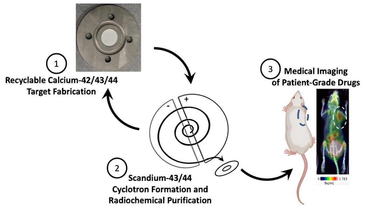 Researchers Enhance Production of Short-Lived Scandium Radioisotopes