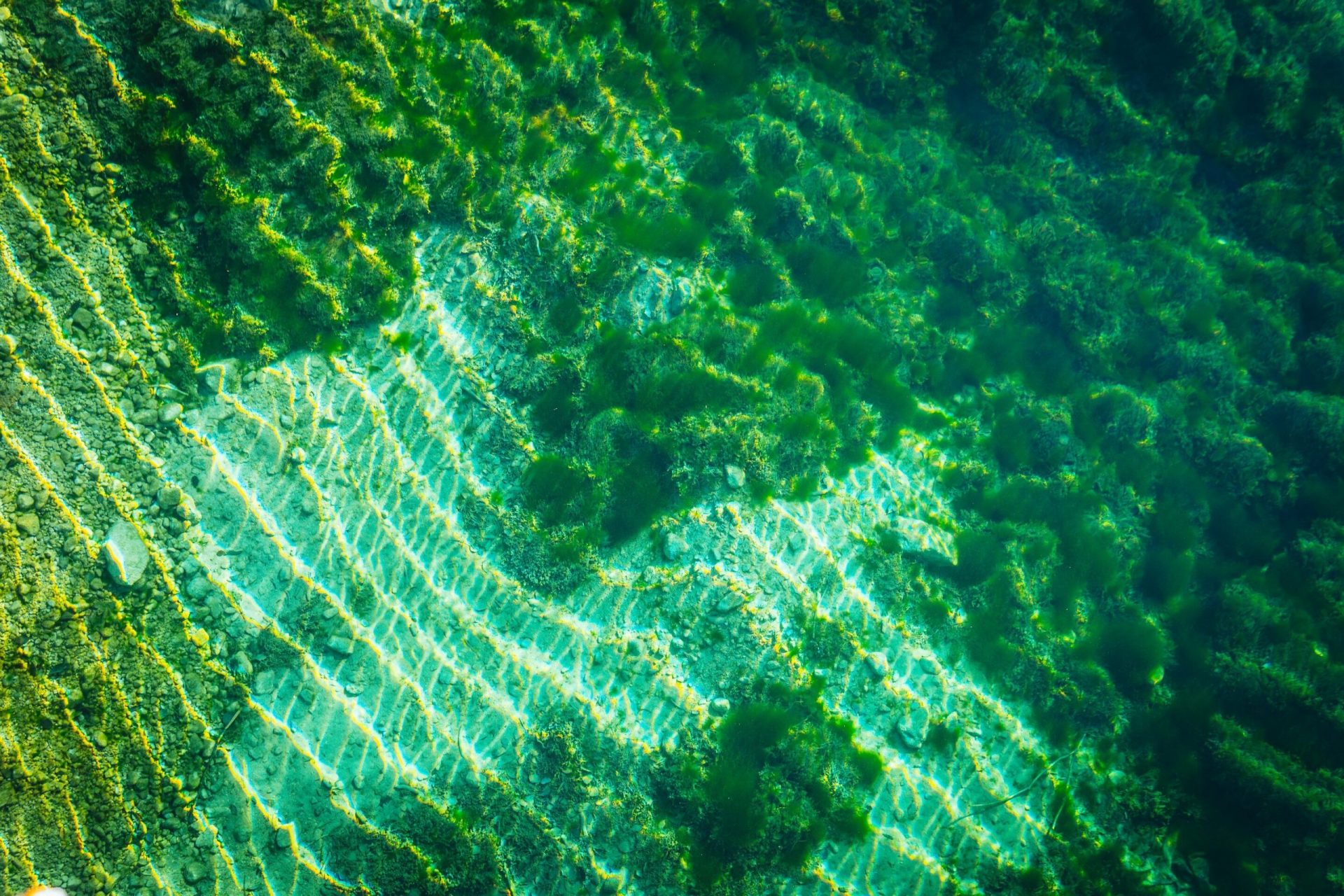 Scientists outline new strategy to understand origin of life