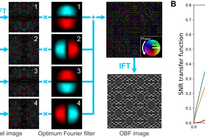 Unveiling Zeolite’s Local Atomic Structure with Optimum Bright-Field Scanning Transmission Electron Microscopy