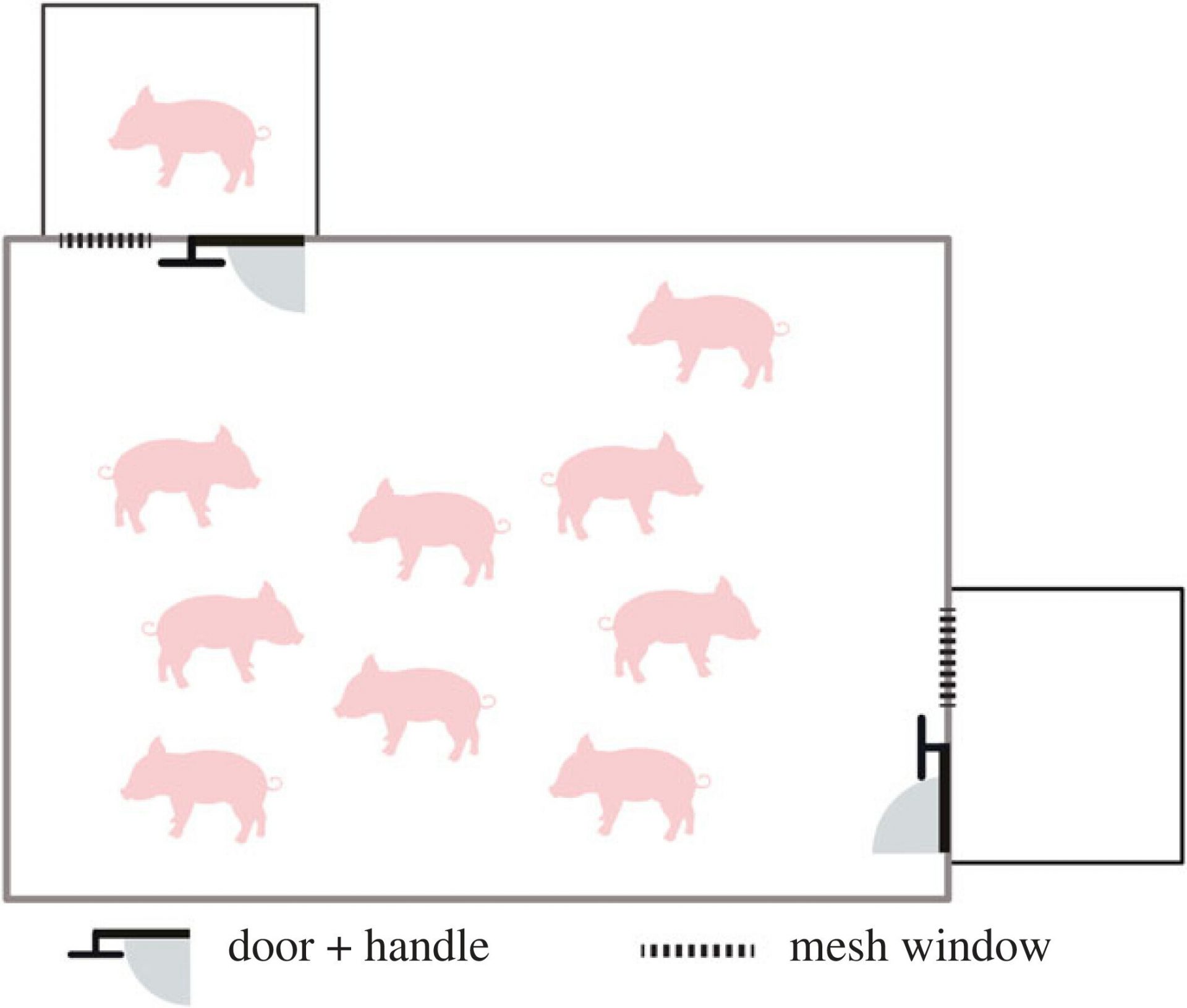 These little piggies aid neighbors: New research design to illuminate reasons