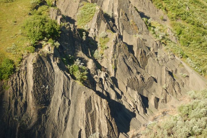Scientists Investigate Dinosaur ‘Coliseum’ in Denali National Park