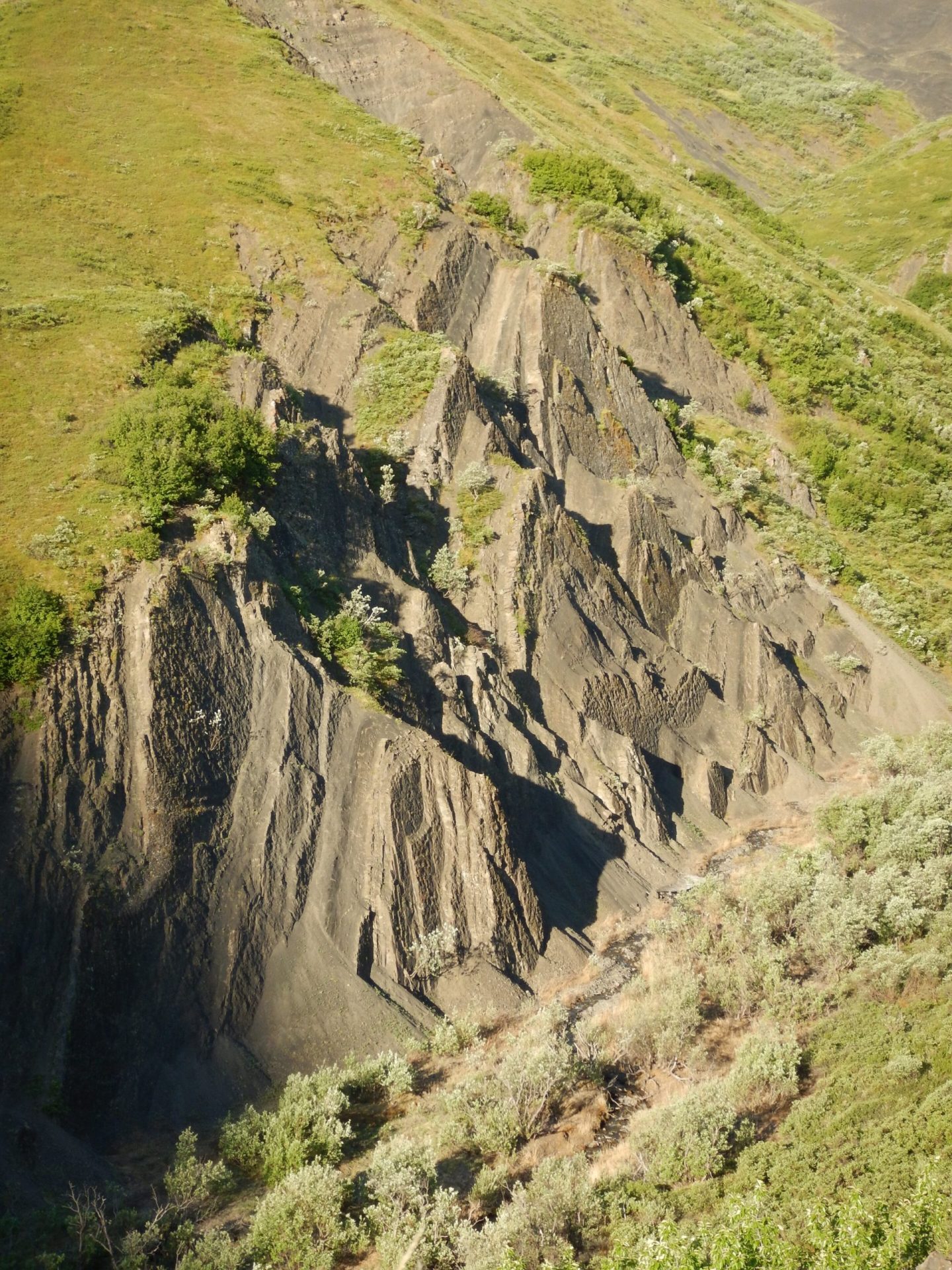 Scientists Investigate Dinosaur ‘Coliseum’ in Denali National Park