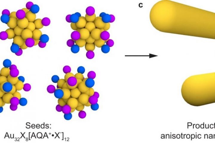 Gold Buckyballs: Common Nanoparticle ‘Seeds’ Unveiled as Identical