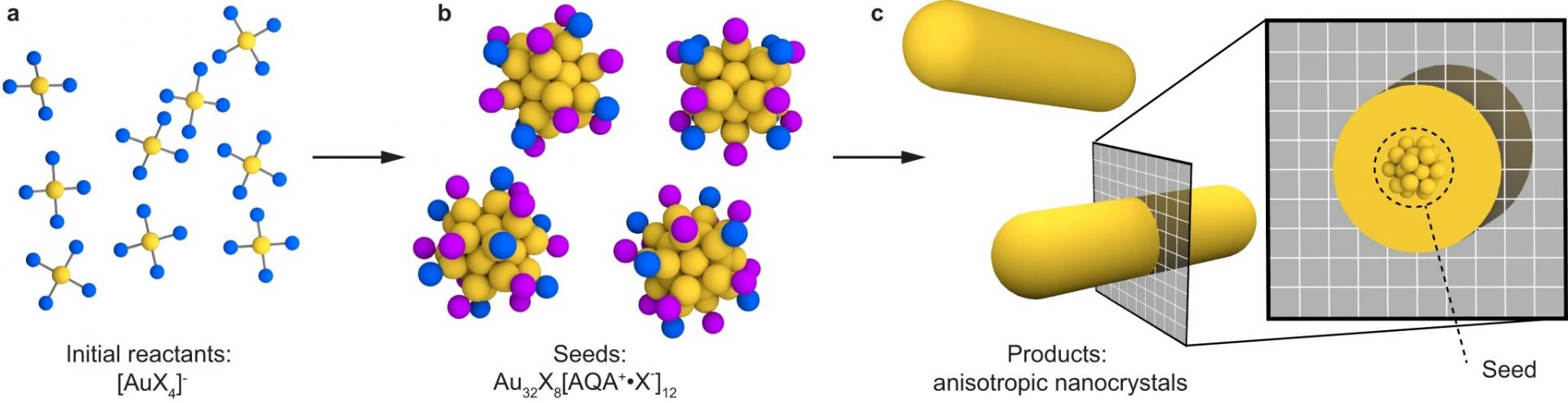 Gold Buckyballs: Common Nanoparticle ‘Seeds’ Unveiled as Identical