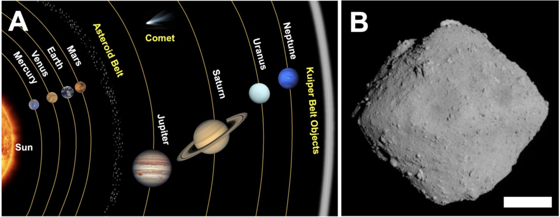 Ryugu asteroid’s origins in solar nebula unraveled through carbonates