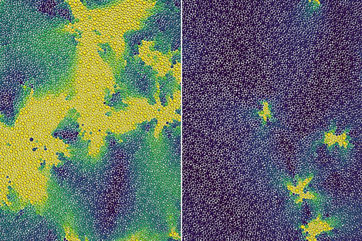 Scientists Theorize Hidden Phase Transition Between Liquid and Solid