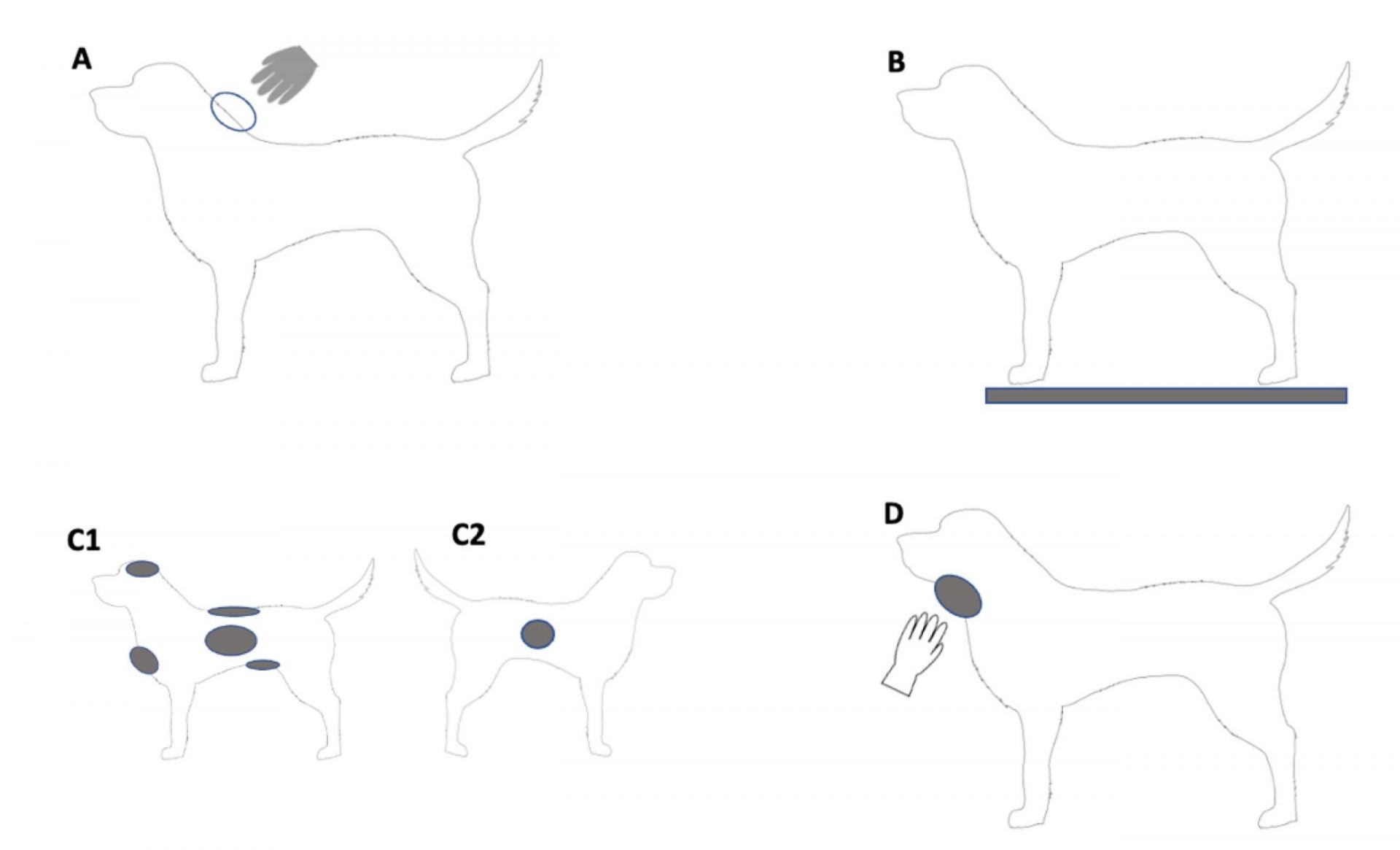 DNA evidence on dogs aids in identifying and apprehending criminals