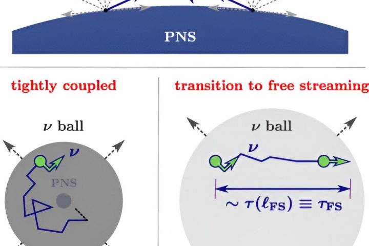 Using supernovae to study neutrinos’ peculiar characteristics