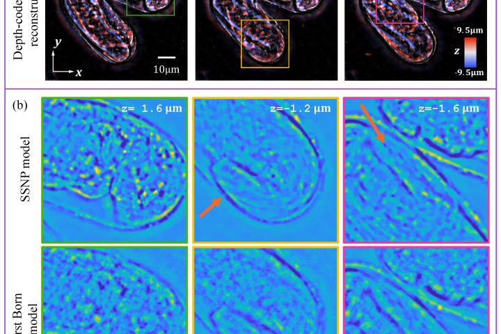 Algorithm Captures Live Specimens’ Complex 3D Light Scattering Information