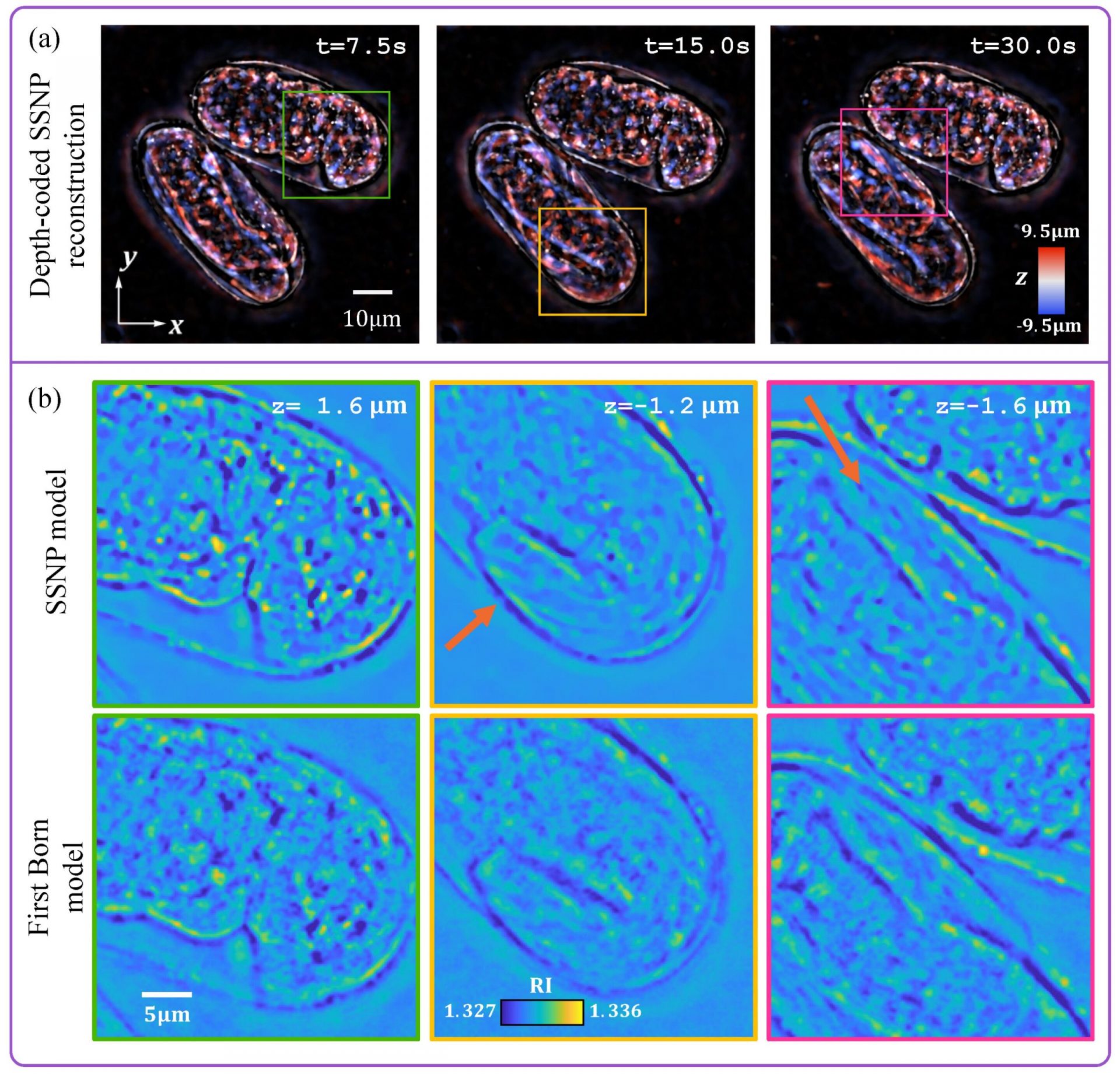 Algorithm Captures Live Specimens’ Complex 3D Light Scattering Information