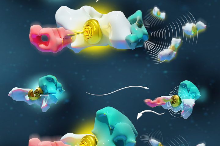 Decoding Molecules’ Communication for Advancing Nanotechnologies