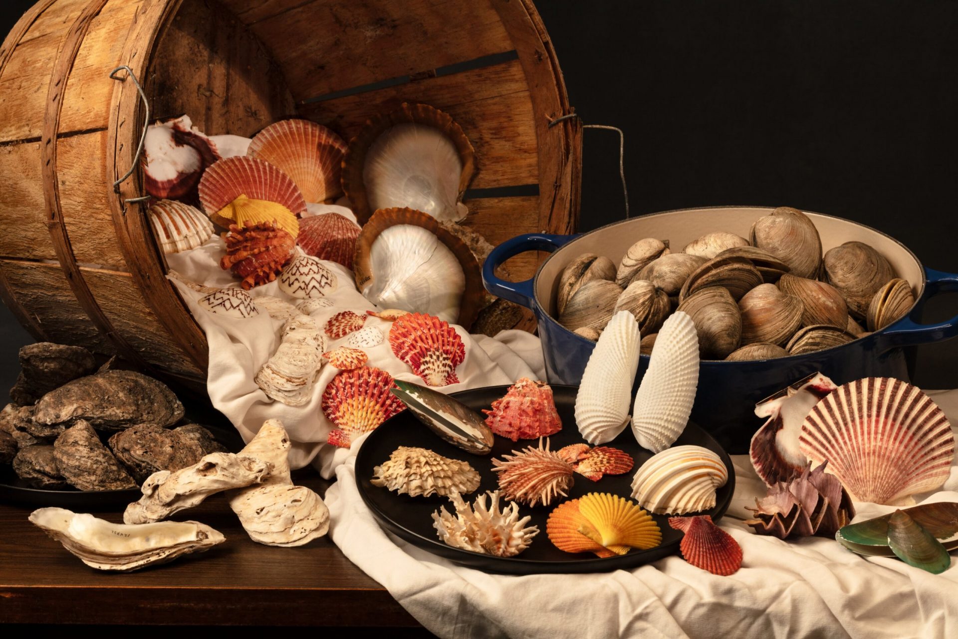 Over 800 Human-Harvested Shellfish Species Show Greater Resilience Against Extinction, Reveals Study