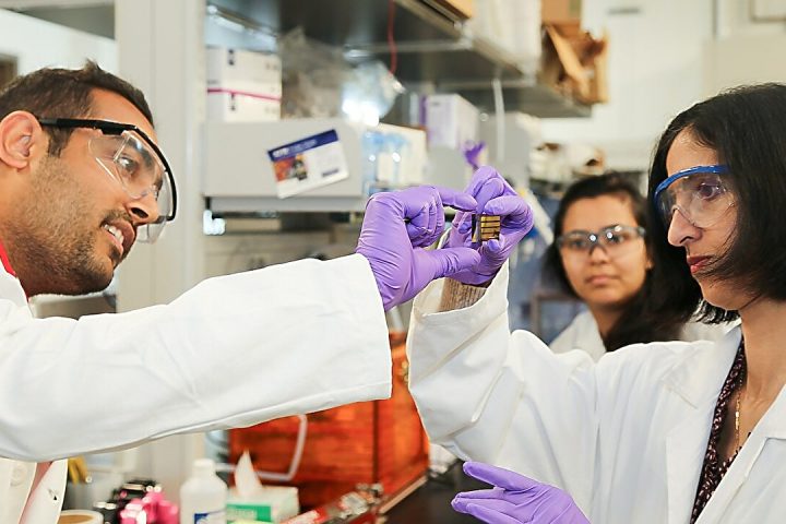National Network of Biomedical Engineers Presents Six-Step Roadmap for Faculty Hiring Diversity