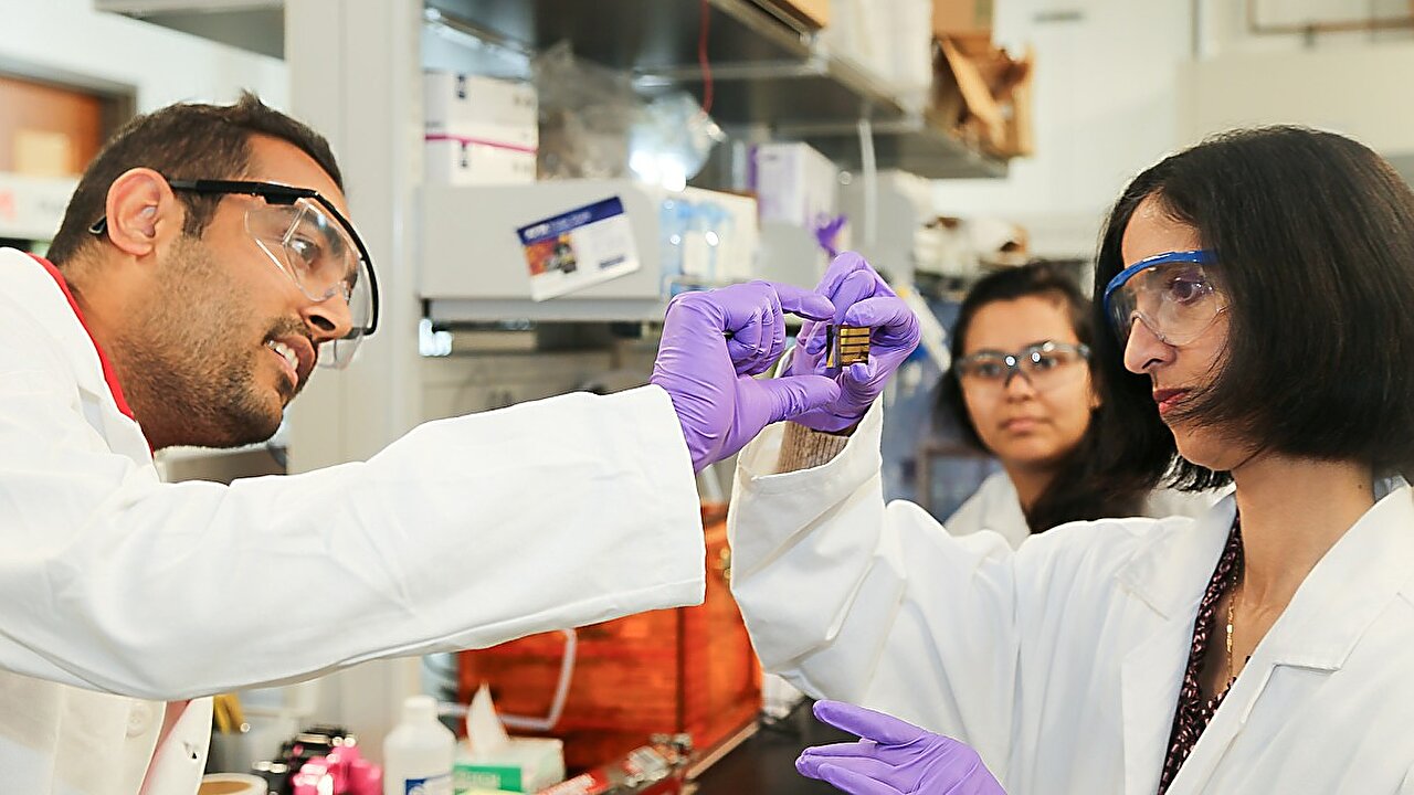 National Network of Biomedical Engineers Presents Six-Step Roadmap for Faculty Hiring Diversity