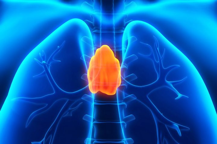 “Overlooked Organ Once Deemed Useless in Adults Unveils Potential Cancer Protection”