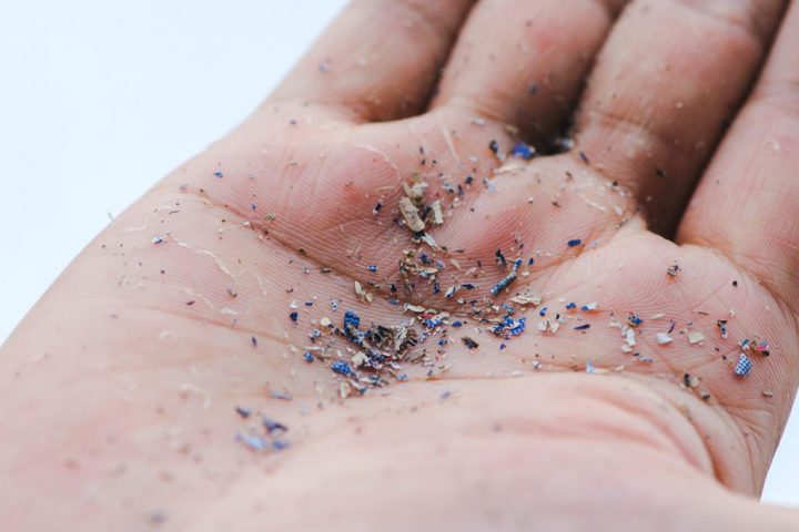 Thousands of Microplastics Found in Human Heart Tissue for the First Time