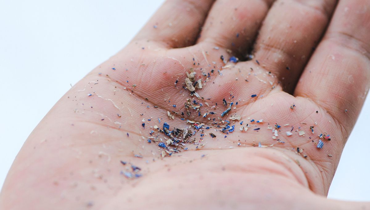 Thousands of Microplastics Found in Human Heart Tissue for the First Time