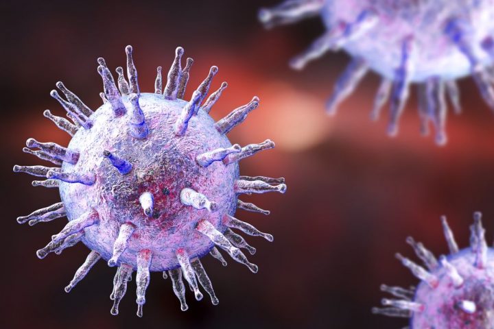 Promising Epstein-Barr Virus Vaccine Candidate Demonstrates Success in Mice