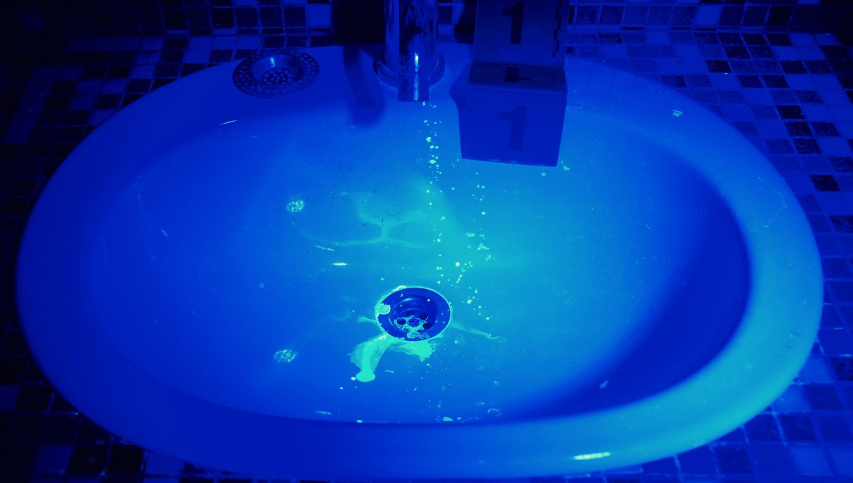 People Discover the Fascinating Science Behind Luminol