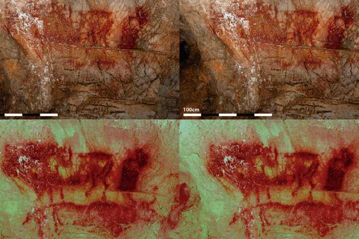 New Animals Found in Famous Prehistoric Cave’s Rock Art