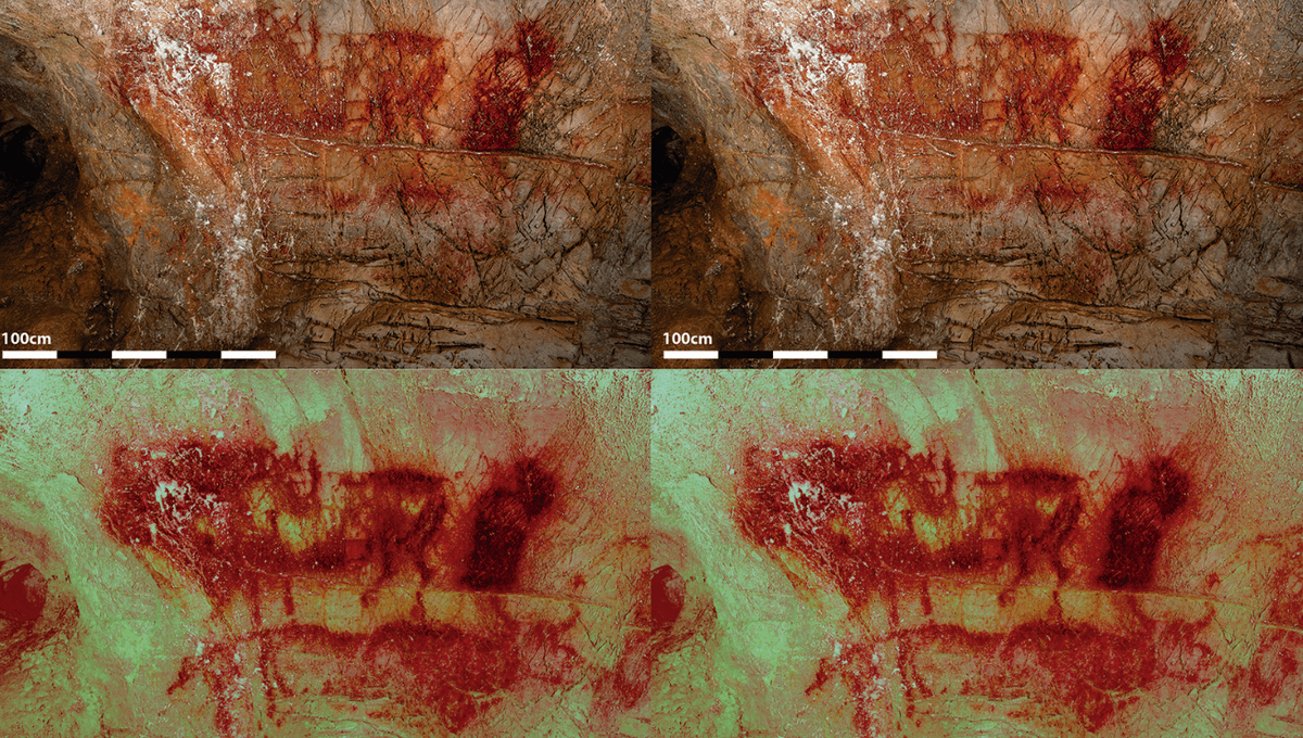 New Animals Found in Famous Prehistoric Cave’s Rock Art