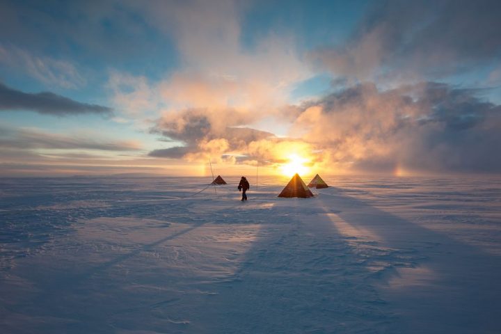 Scientists Witnessed Birth of New Accent in Antarctica