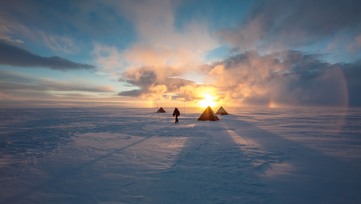 Scientists Witnessed Birth of New Accent in Antarctica