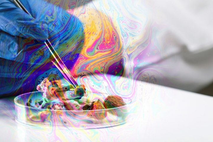 Psilocybin Shows Remarkable Efficacy in Initial Anorexia Nervosa Trial