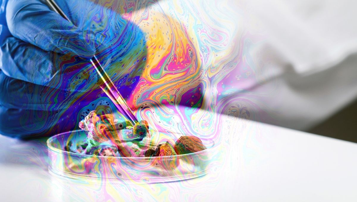 Psilocybin Shows Remarkable Efficacy in Initial Anorexia Nervosa Trial