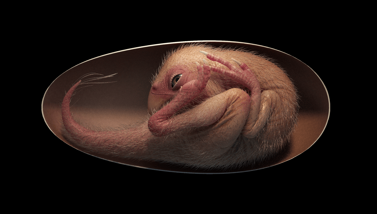 Perfectly Preserved Dinosaur Embryo Discovered in Fossilized Egg