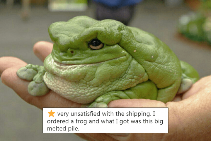 Zoos’ Hilarious Amazon-Style Reviews of Animals Take Twitter by Storm