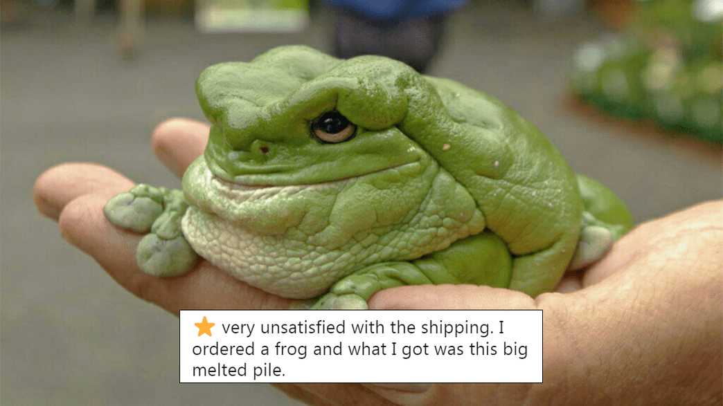 Zoos’ Hilarious Amazon-Style Reviews of Animals Take Twitter by Storm