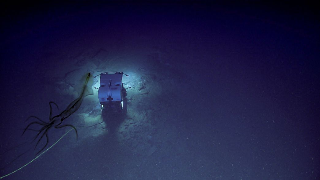 Abyssal Squid Spotted Stalking Submarine Explorer
