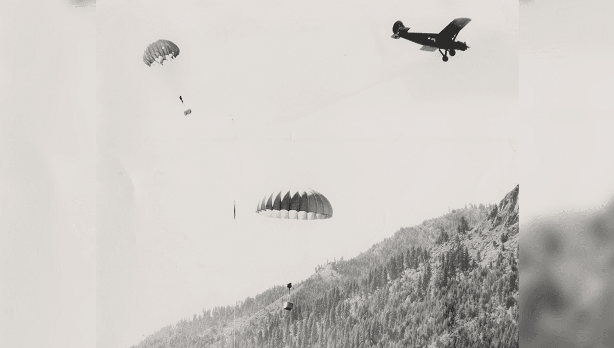 Parachuting Beavers: A Remarkably Effective Conservation Tactic of the 1950s
