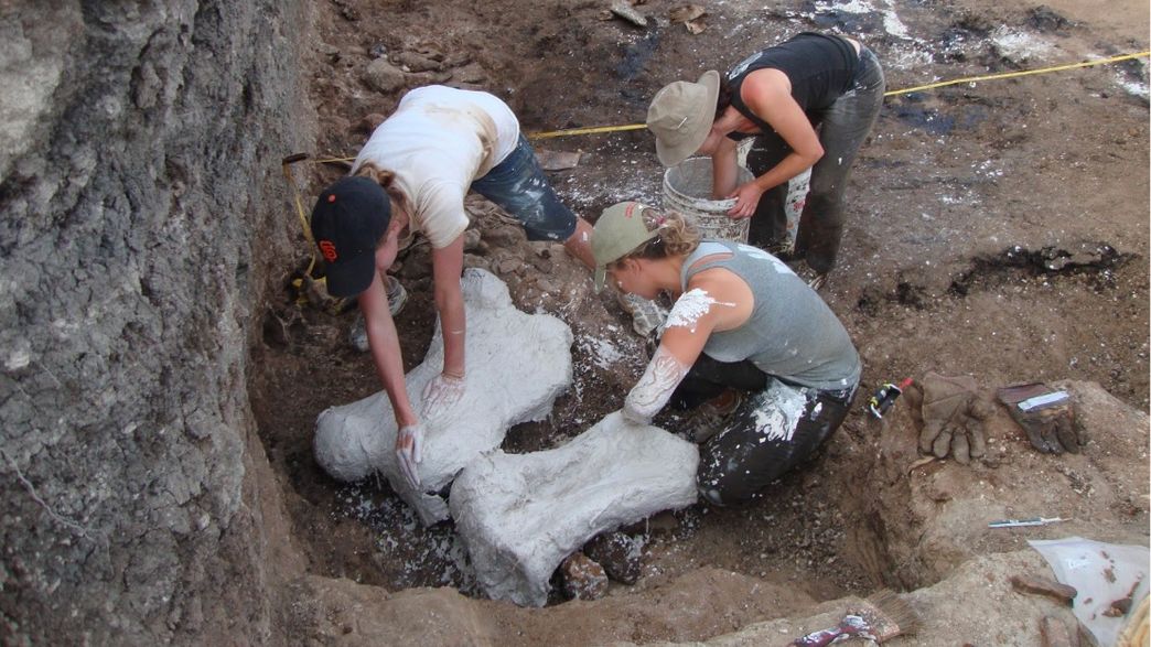 Ice Age Graveyard Unearths 22 Giant Sloths Preserved in Their Own Feces