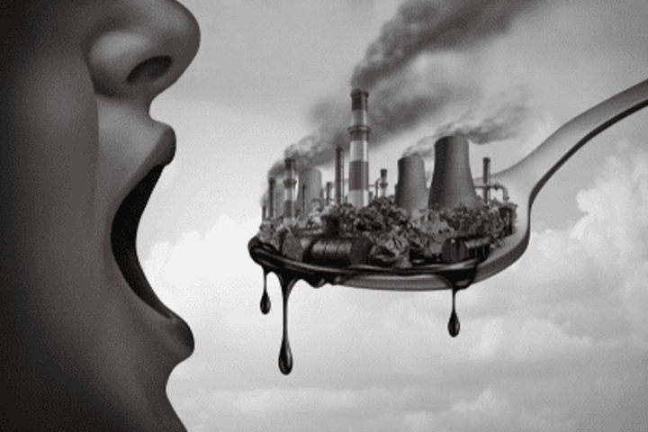 Lead Poisoning Altered the Character of an Entire Generation