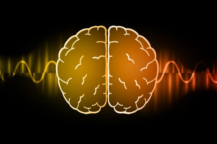Can Our Brains Detect Electromagnetic Waves