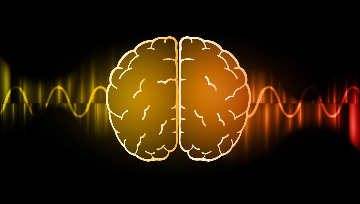 Can Our Brains Detect Electromagnetic Waves