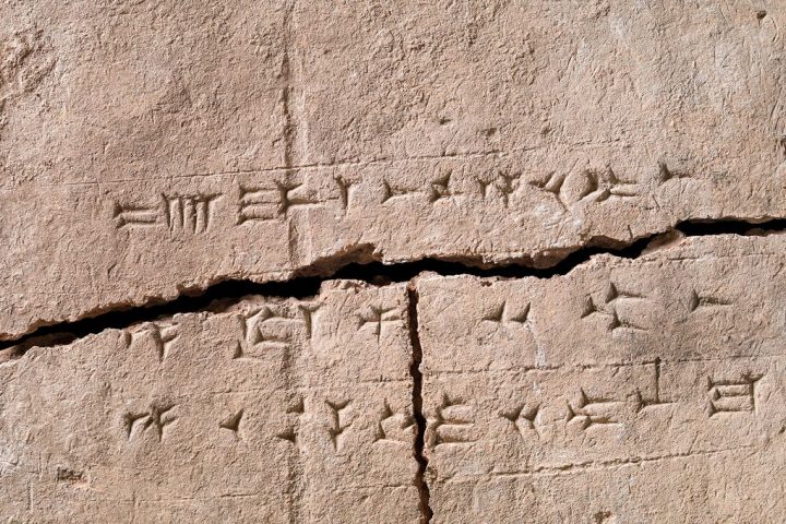2,900-Year-Old Brick Unveils Ancient Plant DNA Treasure in Royal Palace Wall