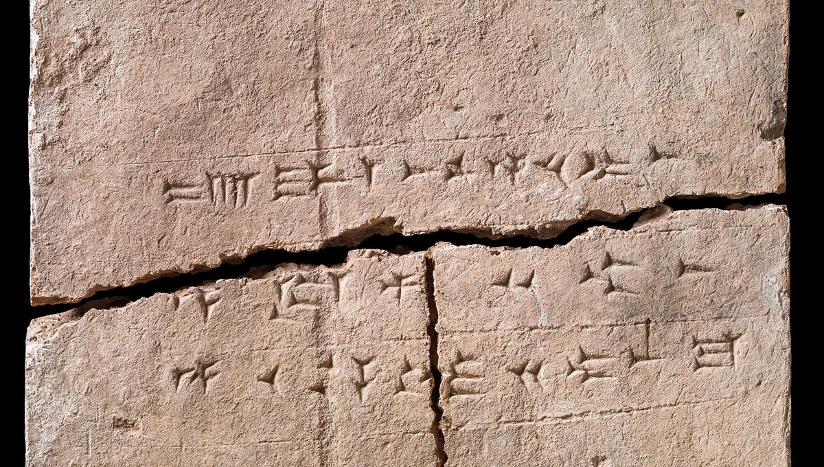 2,900-Year-Old Brick Unveils Ancient Plant DNA Treasure in Royal Palace Wall