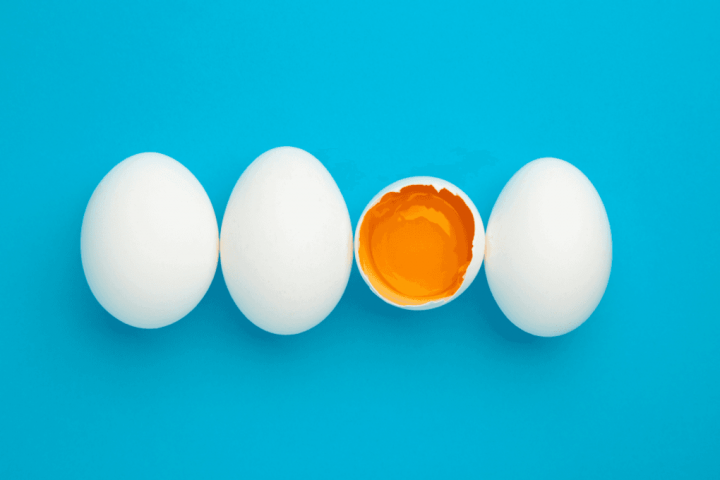 The Useless Yolk Sacs of Human Embryos Unveil Crucial Role