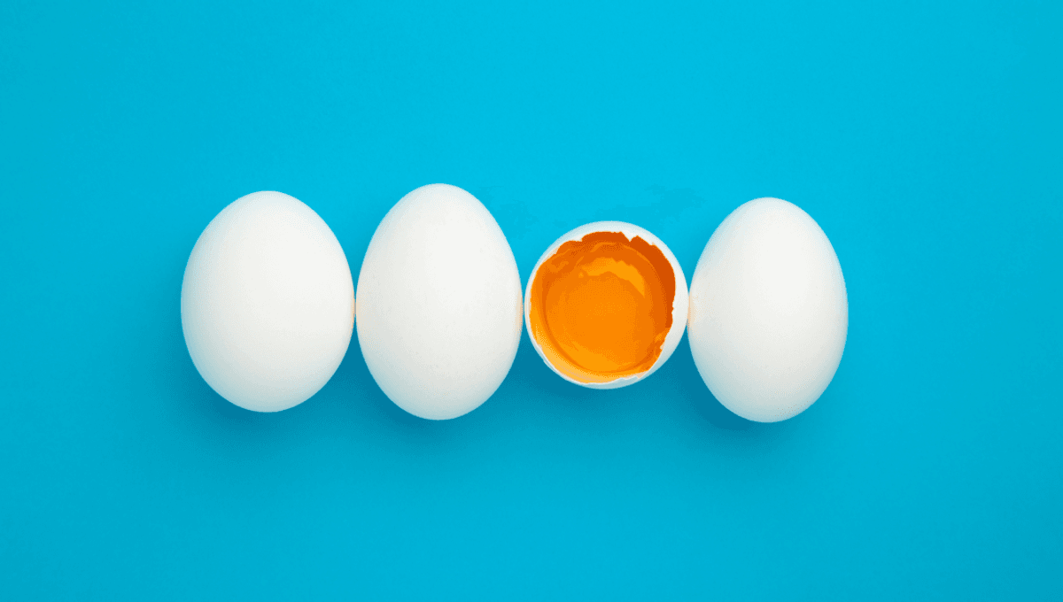 The Useless Yolk Sacs of Human Embryos Unveil Crucial Role