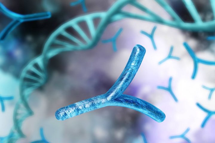 Human Y Chromosome Sequenced for the First Time