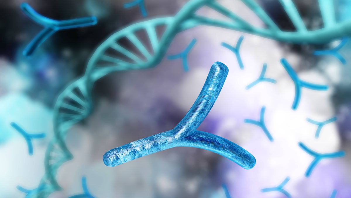Human Y Chromosome Sequenced for the First Time