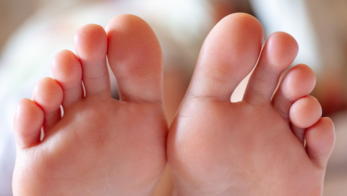 The Mystery Behind Our Limited Toe Count