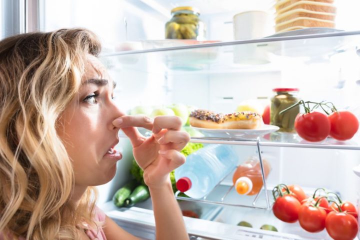 The Sniff Test’s Unreliability in Ensuring Food Safety: An In-depth Analysis