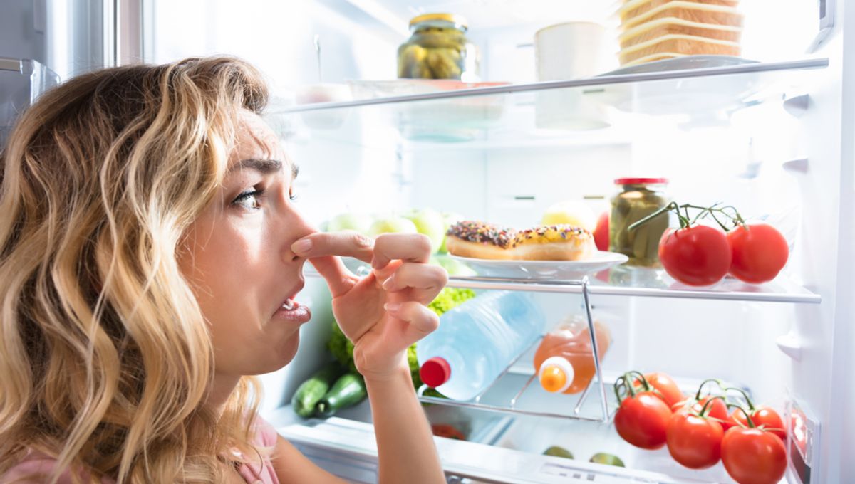The Sniff Test’s Unreliability in Ensuring Food Safety: An In-depth Analysis