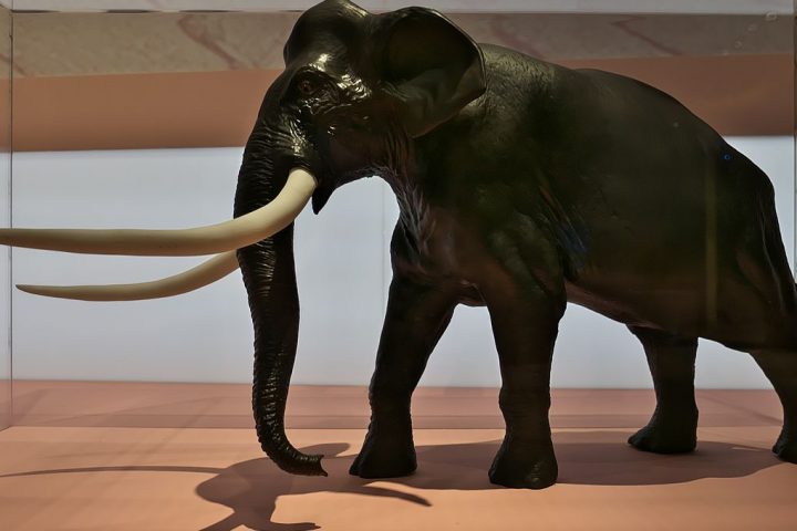 Neanderthals’ Remarkable Ability to Overpower Massive Elephants 125,000 Years Ago