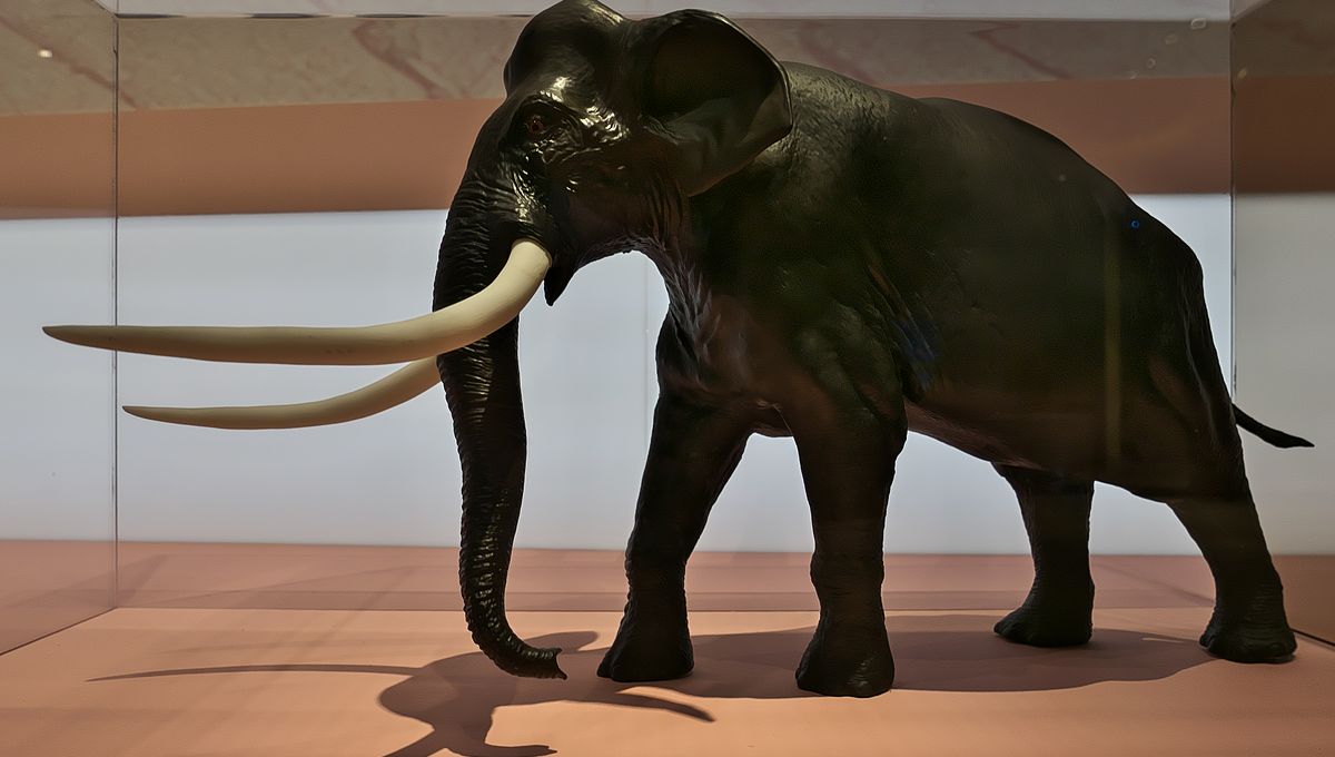 Neanderthals’ Remarkable Ability to Overpower Massive Elephants 125,000 Years Ago